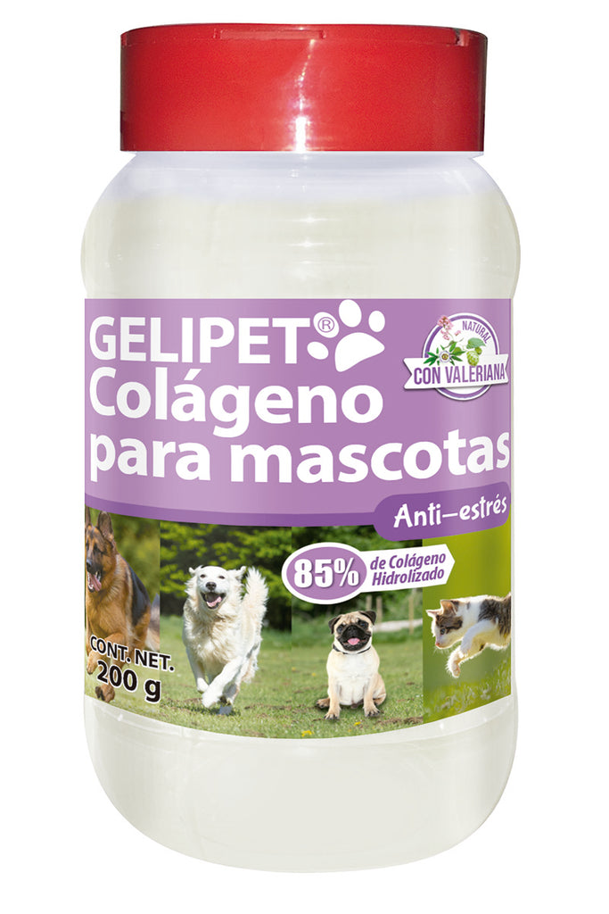 Ayudemos a nuestros perros a disminuir su estrés por los nuevos cambios