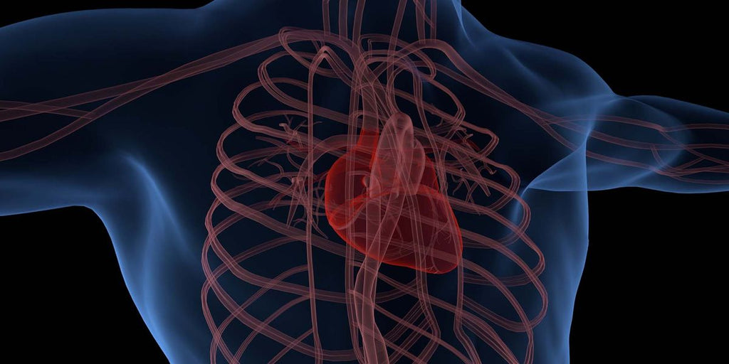 Discovering factors affecting ascending aortic dilatation improves identification of high-risk patients