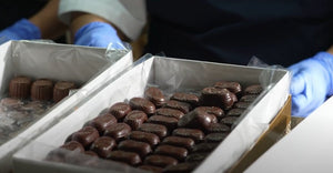 EXPANDE GRUPO CIMARRÓN SU PRESENCIA EN INDUSTRIA CONFITERA CON ADQUISICIÓN DE CHOCOLATERA TRUFFINO