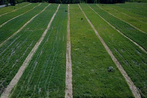 How to store more carbon in soil during climate change