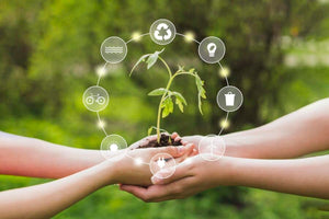 Banyan Group celebra el Día de la Tierra con la publicación de su Informe de Sostenibilidad Global 2024