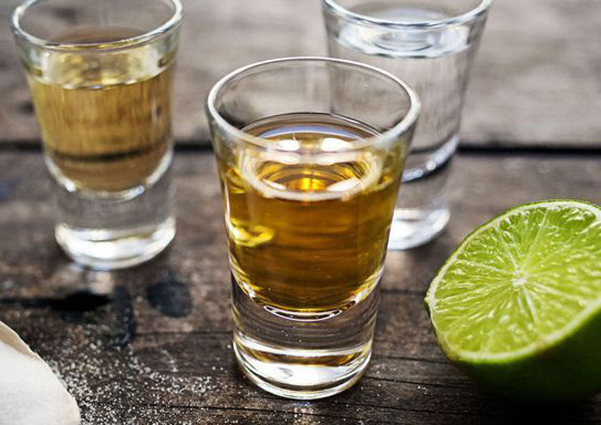 Industria tequilera aporta divisas por 1.3 billones de dólares
