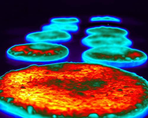 Thermal Imaging Cameras in the Food Industry