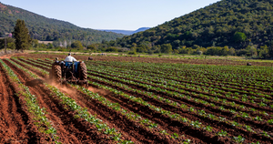 Mexicanos crean una solución para ayudar a agricultores con Inteligencia Artificial