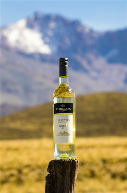 DISFRUTA DE UN VERANO FRESCO E INOLVIDABLE CON  TERRAZAS DE LOS ANDES RESERVA TORRONTÉS