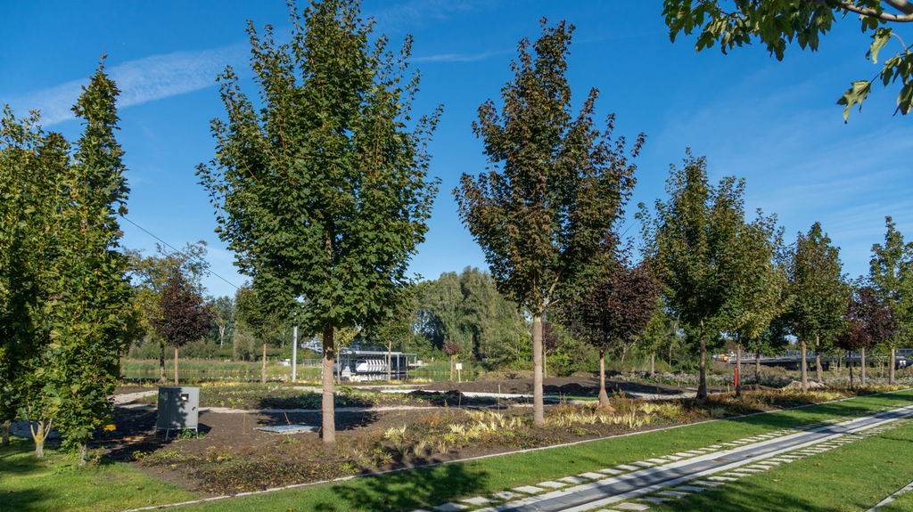 ‘It’s looking good’ reports Expo 2022 Floriade Amsterdam Almere to AIPH