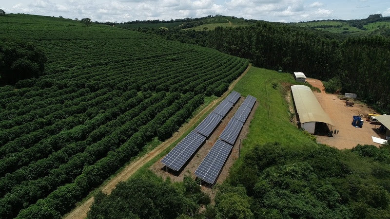 Coffee farms bet on sustainability