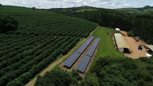 Coffee farms bet on sustainability