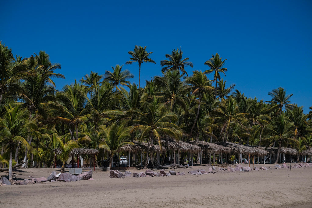 Naturaleza, tranquilidad y aventura se conjugan en Boca de Iguanas y La Manzanilla, en Costalegre