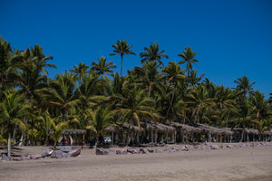 Naturaleza, tranquilidad y aventura se conjugan en Boca de Iguanas y La Manzanilla, en Costalegre