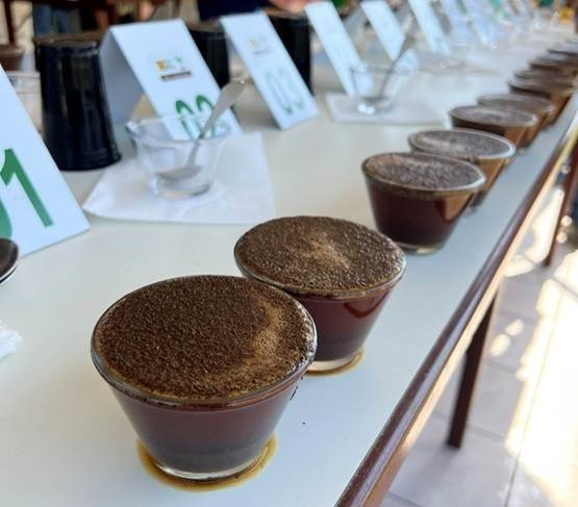 Auction of the winning coffee of Cup of Excellence Brazil takes place on January 12