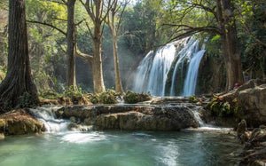 Chiapas y sus fascinantes caídas de agua