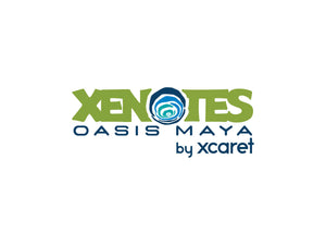 Otorgan Premio Internacional a Xenotes por Excelencia en Marketing