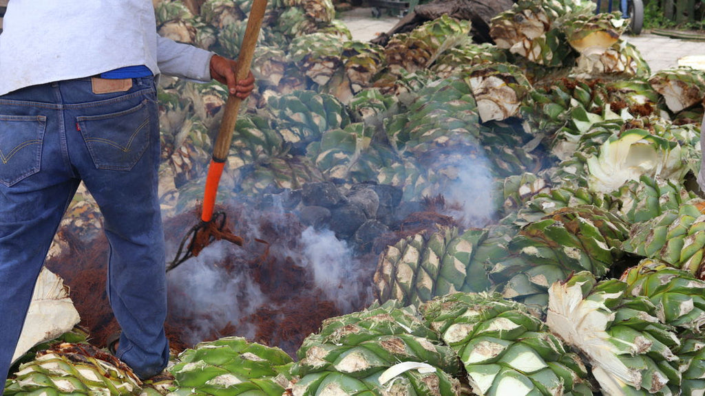 Para todo mal, mezcal… Conoce el Ritual del Mezcal con el que no vas a querer irte de Playa del Carmen