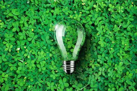 Desarrollo de soluciones tecnológicas enfocadas en la sostenibilidad ambiental