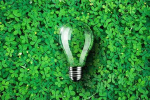Desarrollo de soluciones tecnológicas enfocadas en la sostenibilidad ambiental